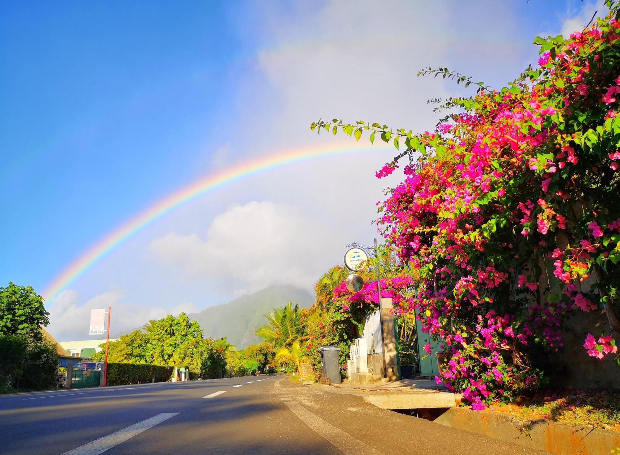 Lagoon Dream Moorea Ngoại thất bức ảnh