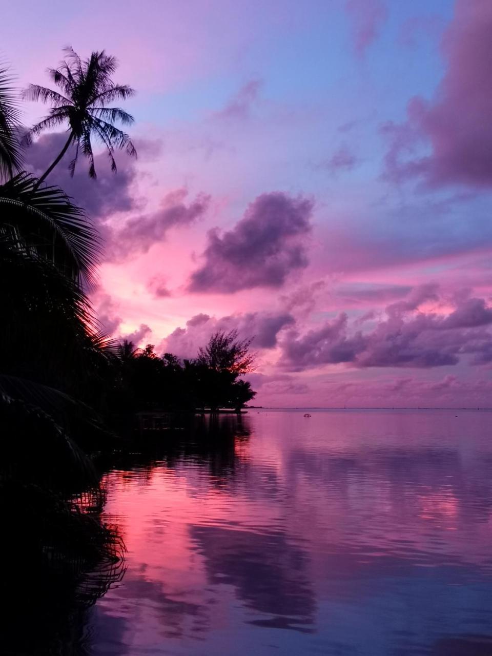 Lagoon Dream Moorea Ngoại thất bức ảnh