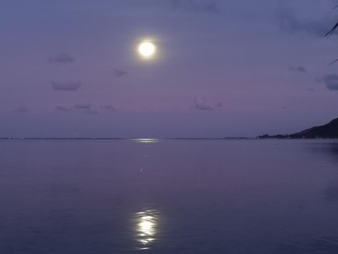 Lagoon Dream Moorea Ngoại thất bức ảnh